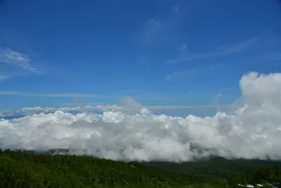 DSC_3638 (Large).JPG